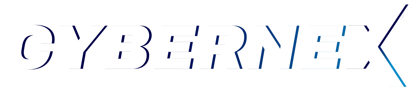 Cybernex Solutions Profile